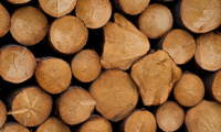 Prodej palivového smrkového dřeva našim občanům 1